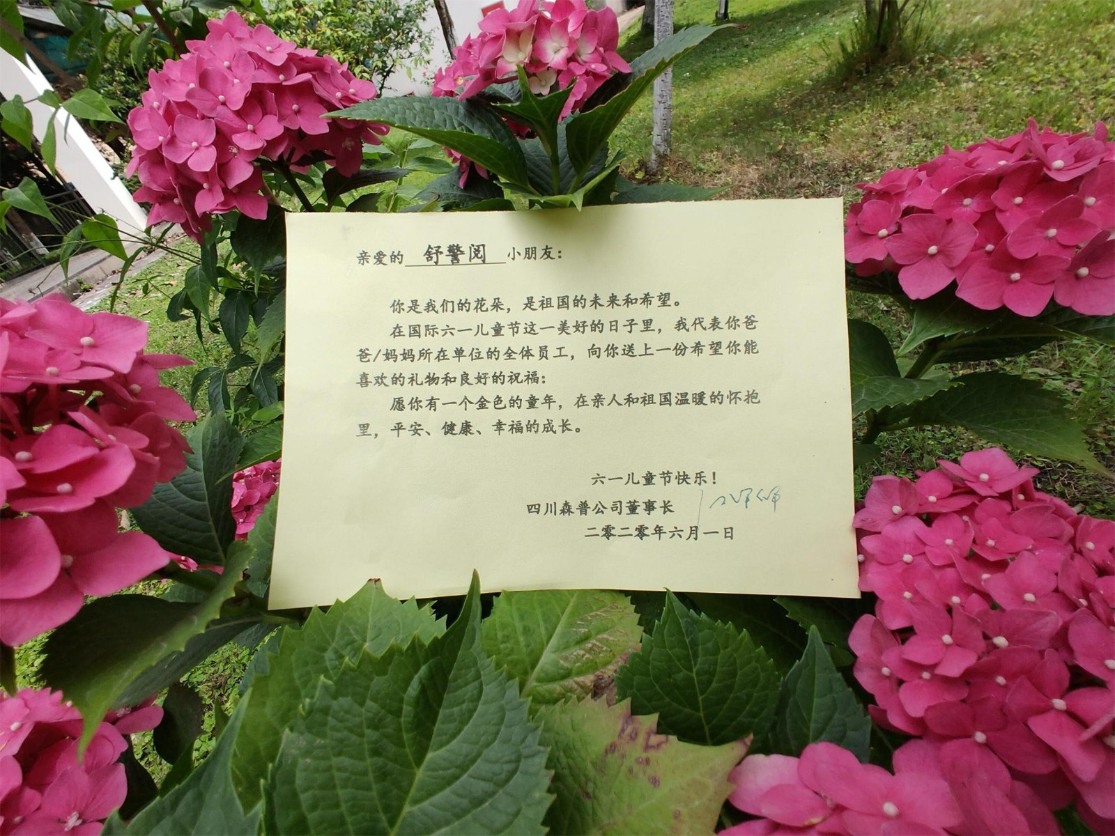 1591069105168899ERGO.jpg 微信图片_20200602111512-1.jpg