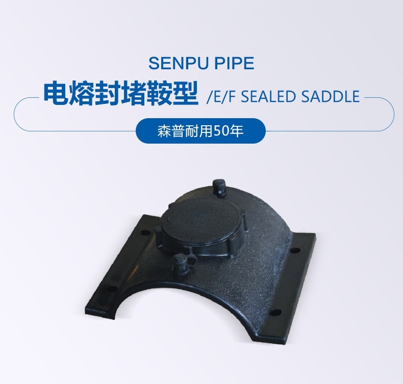 电熔封堵鞍型_概况_01.jpg