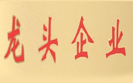 强烈热闹庆祝森普管材被必定为2017年度“龙头企业”